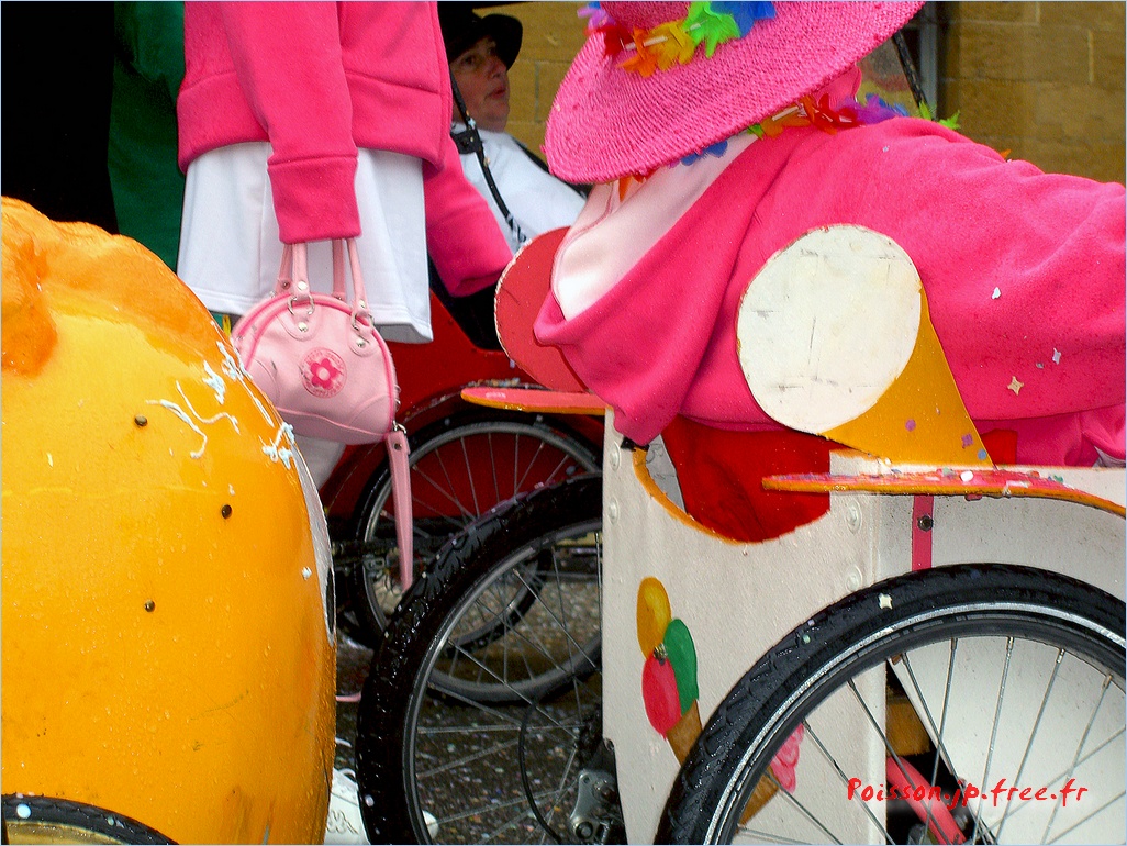 carnaval sarreguemine 088